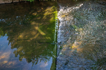 Niedrigwasser im Sebnitzbach am 31.07.2018