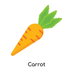 Carrot icon vector sign and symbol isolated on white background, Carrot logo concept