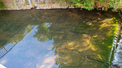 Niedrigwasser im Sebnitzbach am 31.07.2018