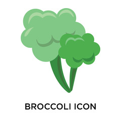 Broccoli icon vector sign and symbol isolated on white background, Broccoli logo concept