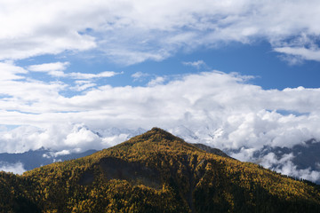 Fototapeta na wymiar Mountain top and autumn forest