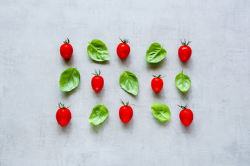 Tomato and basil leaves