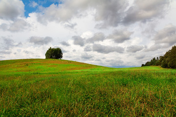 green hill on a field with a lonely tree under the clouds