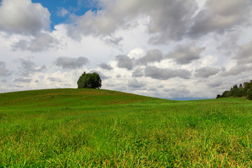 green hill on a field with a lonely tree under the clouds