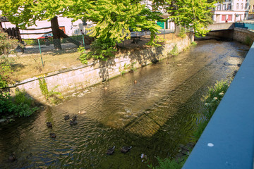 Niedrigwasser im Sebnitzbach am 31.07.2018