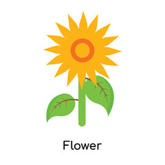 Flower icon vector sign and symbol isolated on white background, Flower logo concept