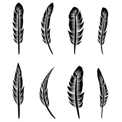 Feather Silhouette Collection