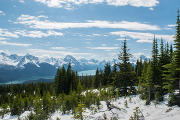 Maligne Lake from Opal Hills, Jasper, Alberta