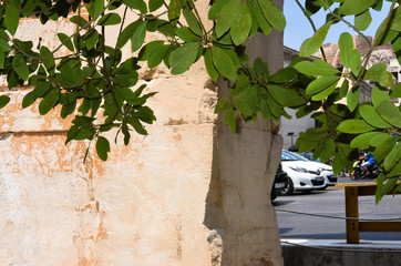 Green leaves and branches in front of the stone