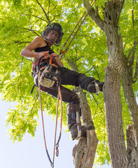 Female Arborist getting ready to use a chainsaw