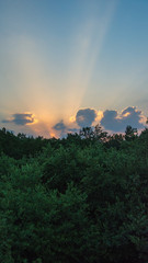 Sunset over the Treetops
