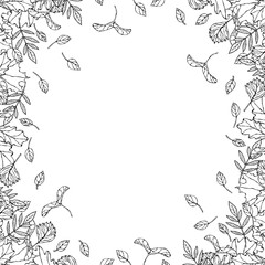 Obraz premium Autumn Background Layout Frame with Falling Leaves. Poster or Card. Maple Rowan, Oak, Hawthorn, Birch. Red, Orange and Yellow. Realistic Hand Drawn High Quality Vector Illustration. Doodle Style.