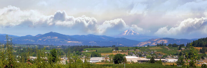 Fruit Orchards in Hood River Oregon Panorama