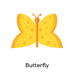 Butterfly icon vector sign and symbol isolated on white background, Butterfly logo concept