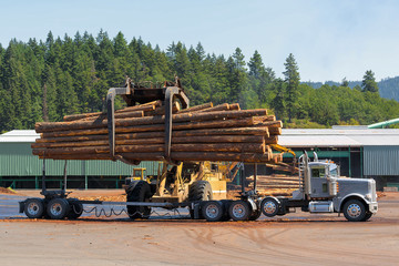 Logs Unloading Off Truck in Lumber Yard