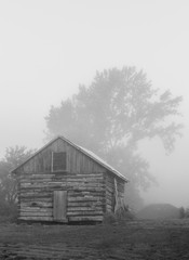 Obraz premium Old vintage sawn log cabin in the fog bw