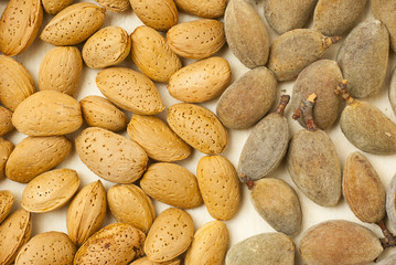 Almonds