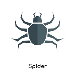 Spider icon vector sign and symbol isolated on white background, Spider logo concept