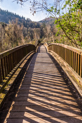 Obraz premium Beautiful wooden bridge architecture.