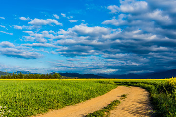 Gravel road on a rural area.