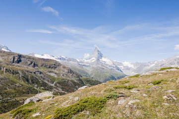 Fototapeta na wymiar Zermatt, Matterhorn, Alpen, Wallis, Blauherd, Wanderweg, Sunnegga, Findeln, Sommer, Bergwiese, Alpenblumen, Schweizer Berge, Schweiz