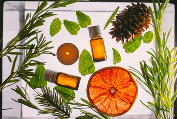 Aromatherapy tools, bottles with oil citrus, mint, rosemary, coniferous tree	