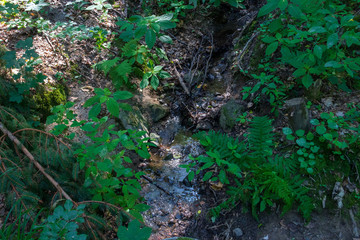 Fototapeta premium Rund um Tanplan vom 20.07.2018