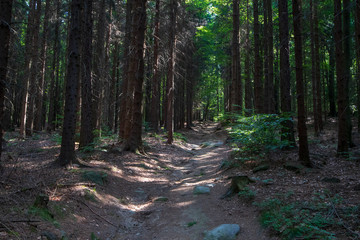 Rund um Tanplan vom 20.07.2018