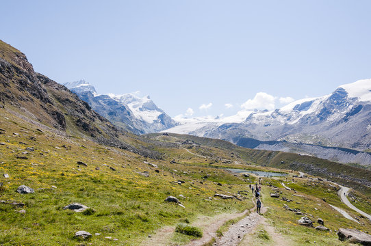 Zermatt, Stellisee, Wanderweg, Blauherd, Adlerhorn, Strahlhorn, Fluhalp, Pfulwepass, Findelgletscher, Wallis, Alpen, Walliser Berge, Sommer, Schweiz