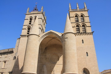 Fototapeta na wymiar La magnifique Cathédrale Saint Pierre à Montpellier, Occitanie, France