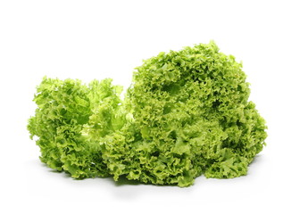 Fresh Lettuce isolated on white