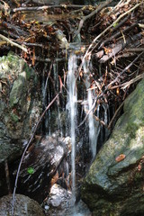 little waterfall in a german forest