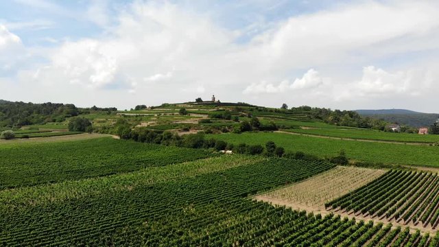 Flug &uuml;ber die Weinberge