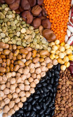 set of beans close-up