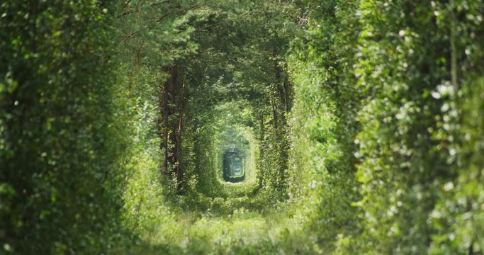 Ukraine. Klevan tunnel of love