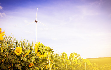 Windkraftanlage 