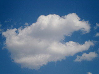 Cloud in the sky - Cumulus cloud