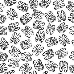 Walnut Seamless Endless Pattern. Whole Peeled Walnuts. Autumn or Fall Harvest Collection. Realistic Hand Drawn High Quality Vector Illustration. Doodle Style.