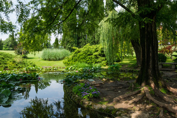 Parco Giardino Sigurtà, Valeggio sul Mincio (Verona, Italia)