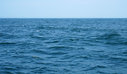 Fototapeta premium blue ocean and wave ripple with horizon line as background 