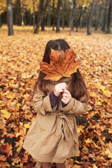 Six Year Old Girl Hiding Behind Large Maple Leaf In Autumn park