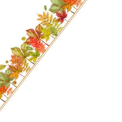 Autumnal Leaves Angled Template Isolated on White Background.
