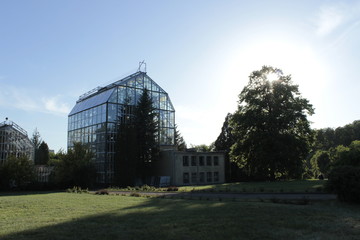 Fototapeta na wymiar facade of the greenhouse in a botanical garden landscape with a tree