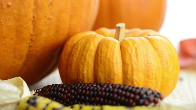 Mini-pumpkin with Indian Corn.  Larger pumpkins in the background.