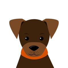 Vector Illustration Portrait of little Puppy in flat style.