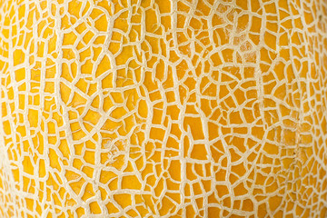 ripe yellow melon texture backdrop - obrazy, fototapety, plakaty