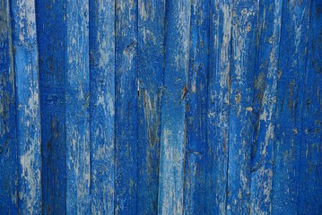 Fototapeta na wymiar blue gray wood texture from old worn fence boards