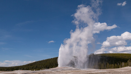 Old faithful geyser in yellowstone park
