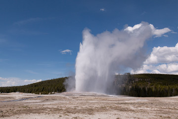 Old faithful geyser in yellowstone park