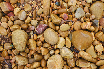 Southern Rhone Terroir